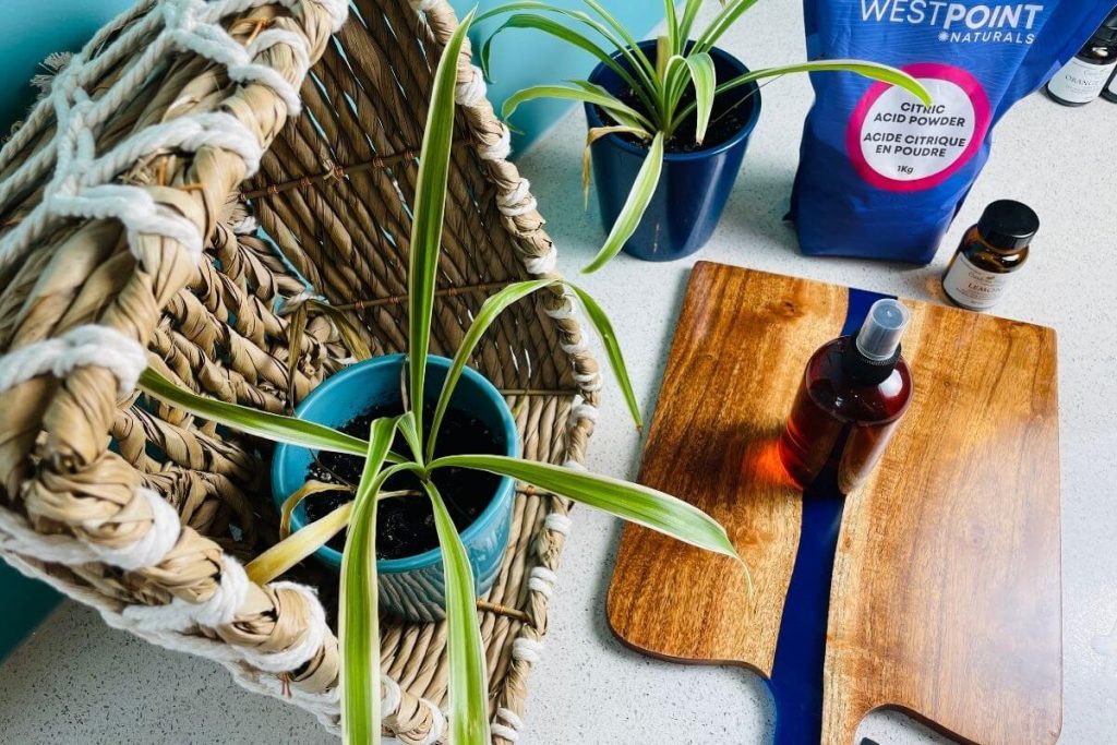 Rinse Aid for Dishwasher